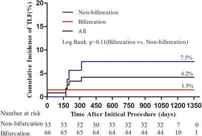 Long-Term Clinical Outcomes After Percutaneous Coronary Intervention With Drug-Coated Balloon-Only Strategy in de novo Lesions of Large Coronary Arteries